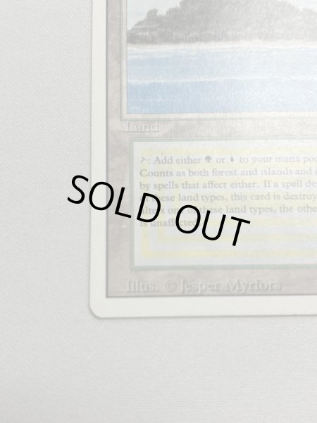 画像4: 《Tropical Island》 3ED SP (4)