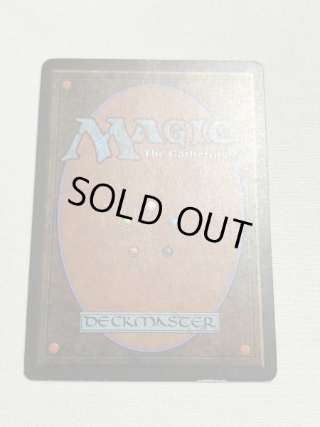 画像6: 《Tropical Island》 3ED SP (6)