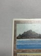 画像2: 《Tropical Island》 3ED SP (2)