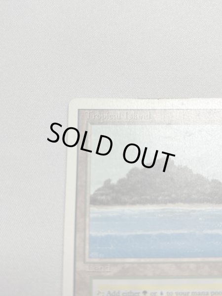 画像2: 《Tropical Island》 3ED SP (2)
