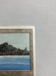 画像3: 《Tropical Island》 3ED SP (3)