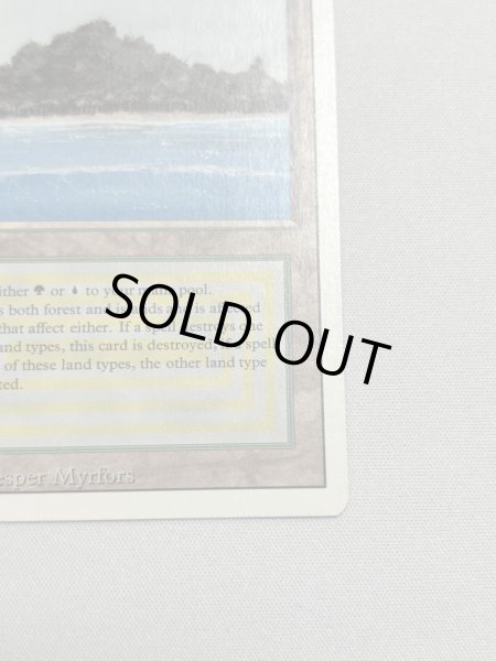 画像5: 《Tropical Island》 3ED SP (5)