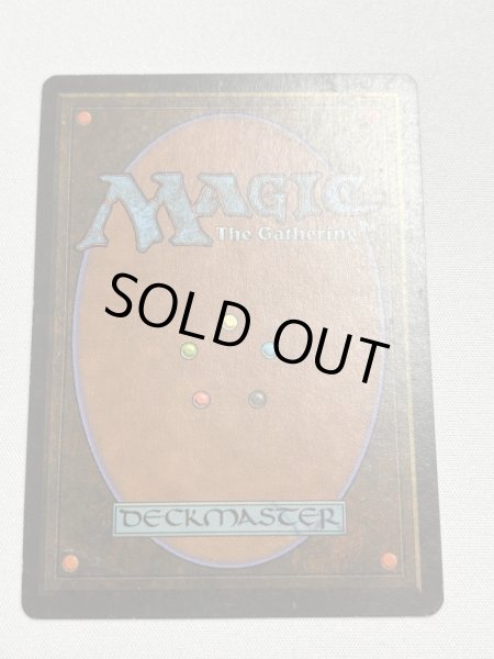 画像6: 《Tropical Island》 3ED SP (6)