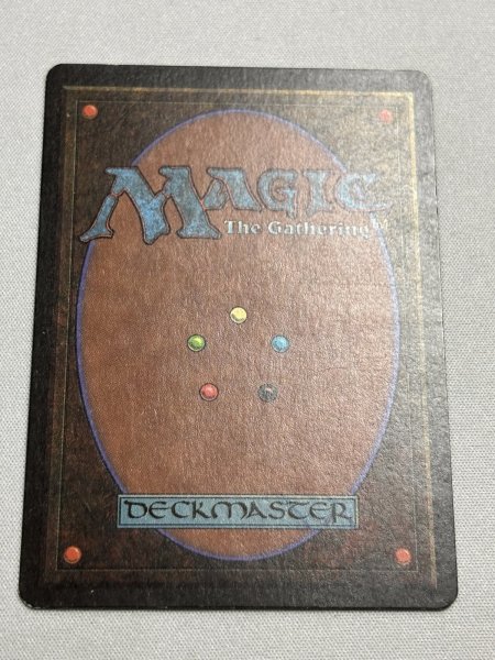 画像6: 《Volcanic Island》[LEB] MP (6)