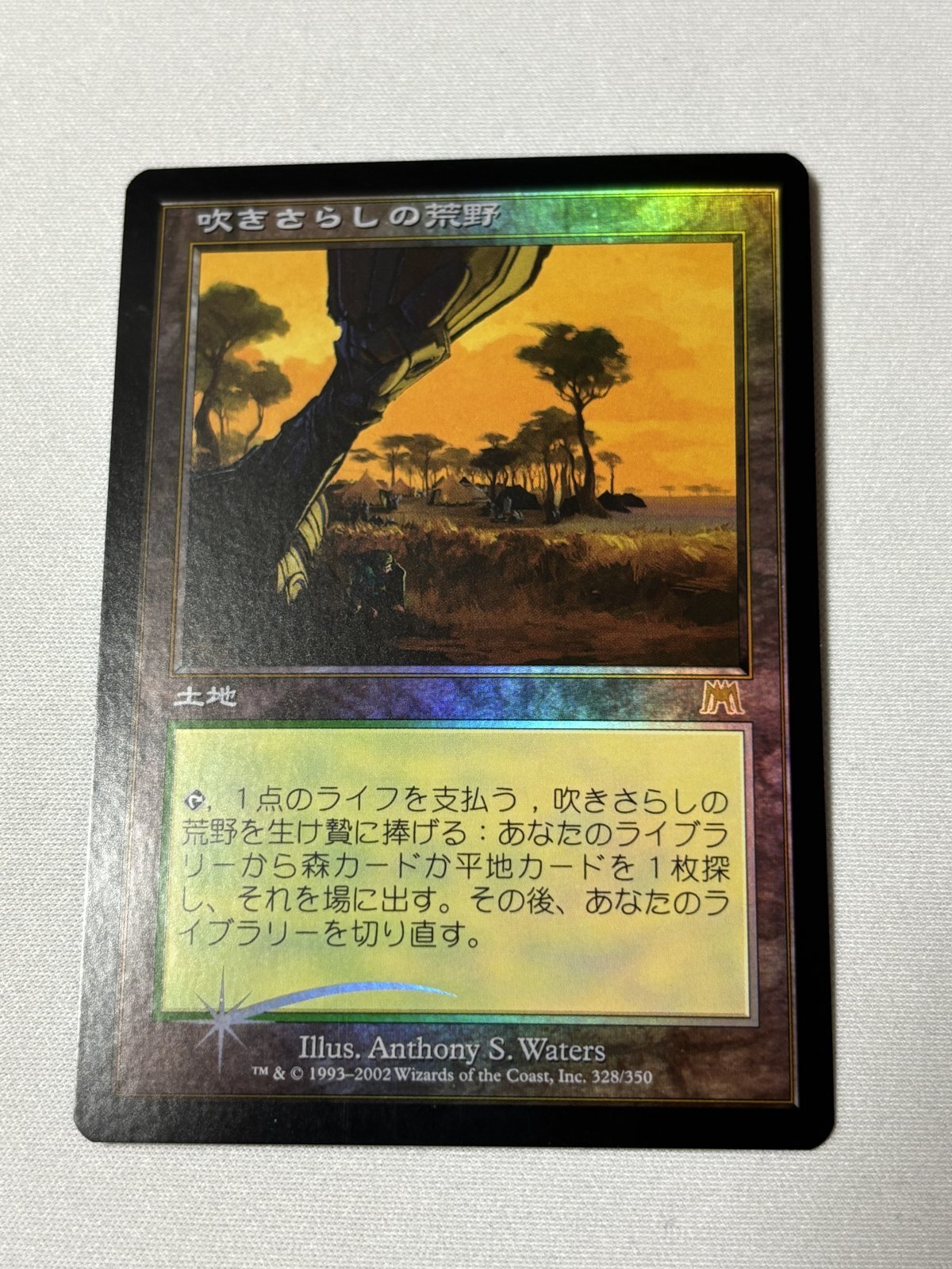日本語【Foil】《吹きさらしの荒野/Windswept Heath》[ONS] - MTG専門店 Initiative