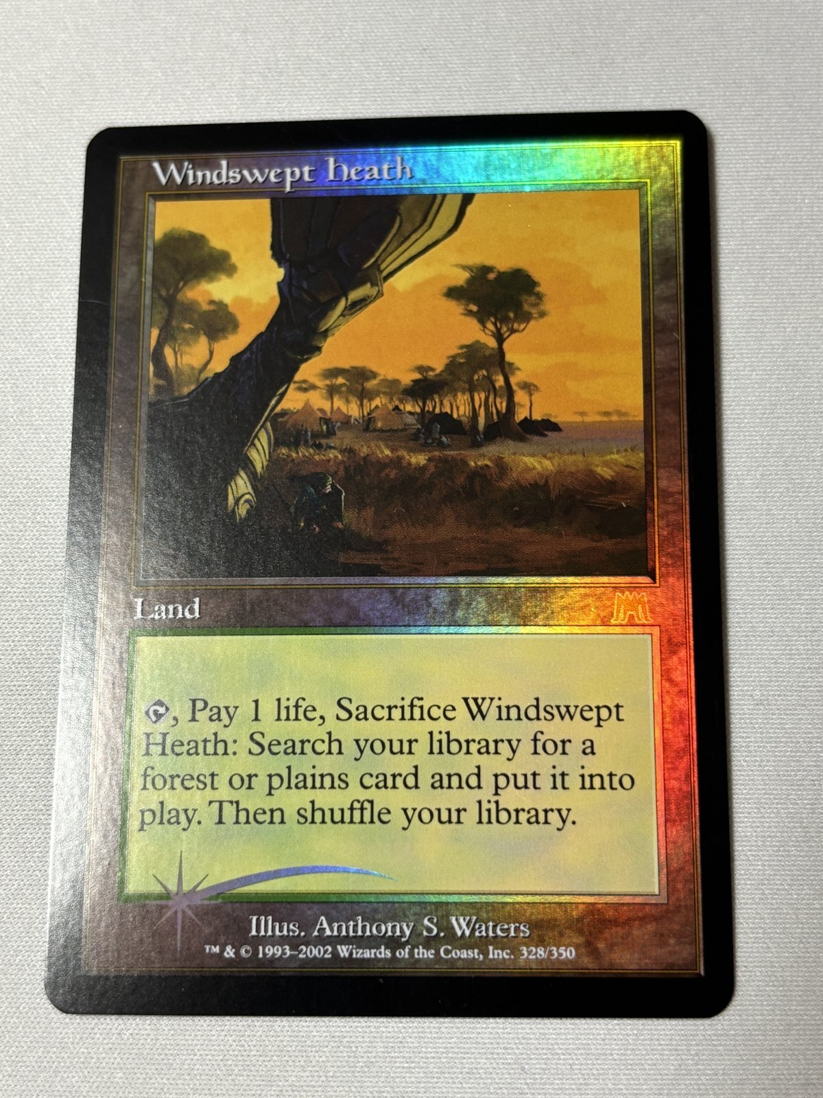 MTG 《吹きさらしの荒野/Windswept Heath》【foil】 ONS 英語